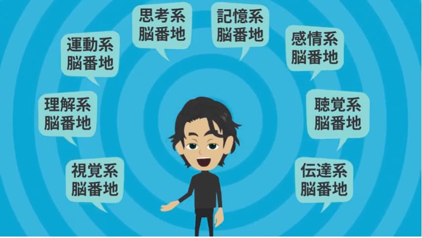 脳番地