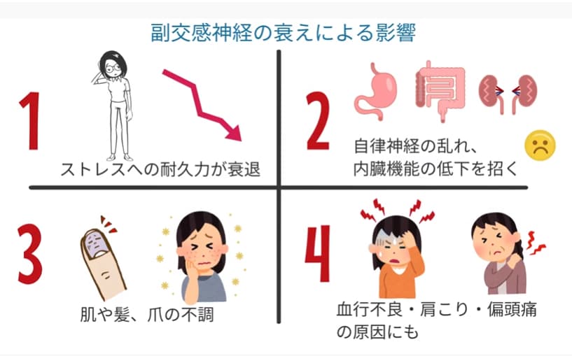 副交感神経の衰えによる影響